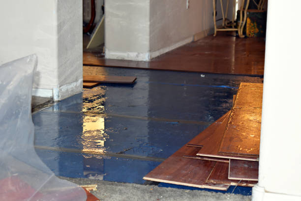 Professional Burst Pipe Cleanup technician working in Carlstadt, NJ
